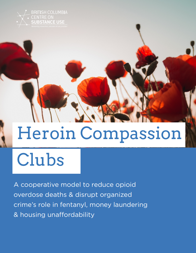 'Heroin Compassion Clubs' report cover - Field of poppies