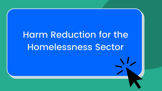 "Harm Reduction for the Homelessness Sector"